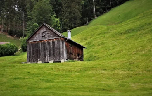 Creating a thriving coop for raising chickens