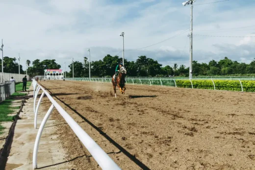 horseracing rider horse racecourse
