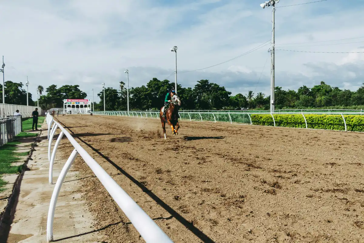 horseracing rider horse racecourse