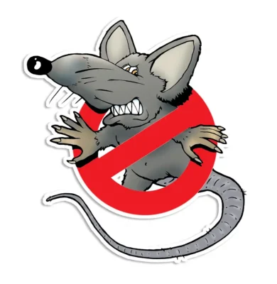 Protecting your home with safe pest removal