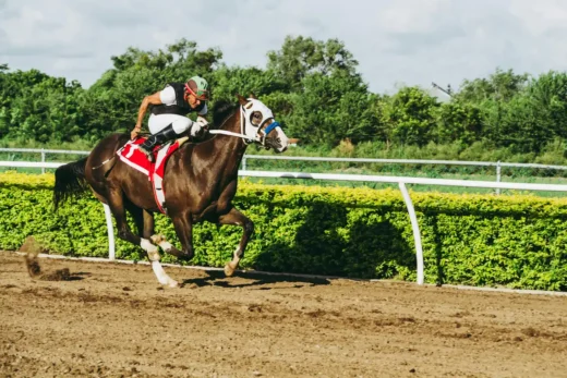 Racecourse architecture evolution, horse racing stadiums
