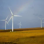 Why Springleaf modern is the future for sustainable living