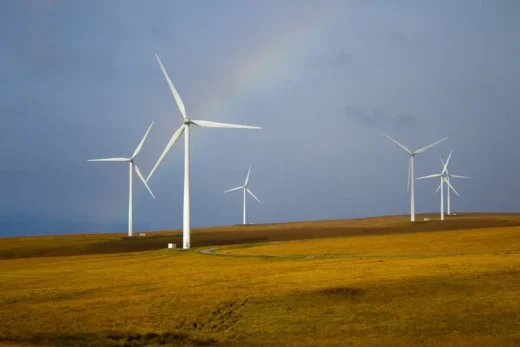 Why Springleaf modern is the future for sustainable living