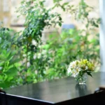 How biophilic architecture is bringing nature indoors