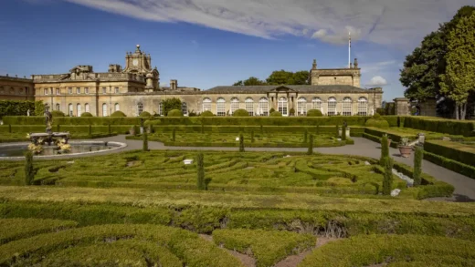Blenheim Palace Orangery by Nick Cox Architects