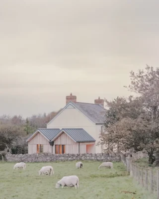 Delfyd Farm Gower Peninsula, Wales