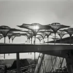 Frei Otto Building with Nature