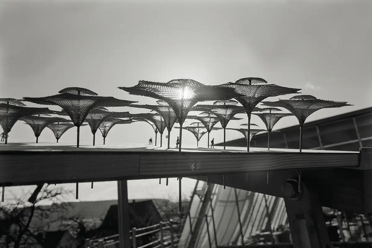 Frei Otto Building with Nature