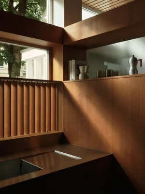Pine Heath house refurbishment late-modern terraced house in a North London