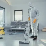 Building pest prevention, home cleaning - vermin control