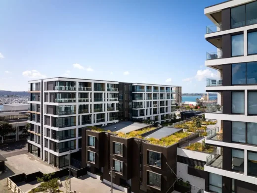 Madden Street Auckland New Zealand homes
