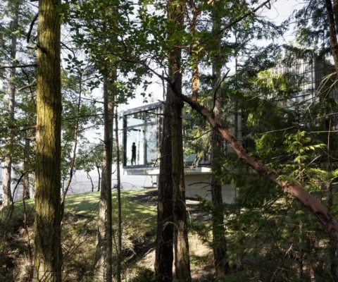 Discovery Bay House, Washington: Pacific Northwest Forest