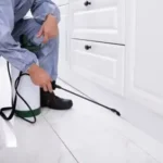 How regular inspections prevent pest problems