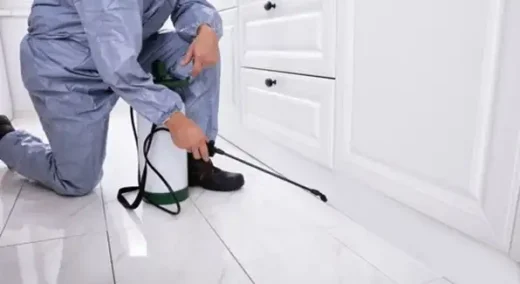 How regular inspections prevent pest problems