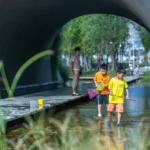 The Huaiyang Fuxi Cultural Park Henan province