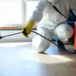 DIY vs professional pest control, vermin removal