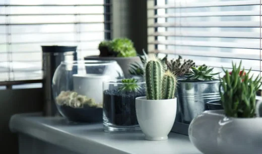 vases - Right box dimensions for odd-shaped products choice