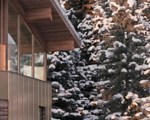 Le Petit Chalet Auvergne-Rhône-Alpes France