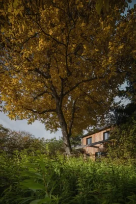 Family House in Mature Garden Prague Czech Republic