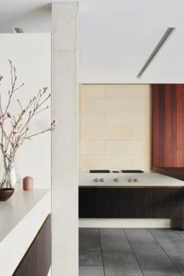 Outdoor Kitchen Vaucluse Sydney house