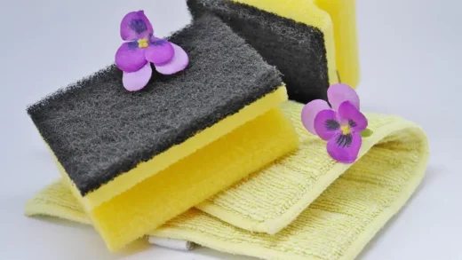 Professional cleaning services can transform your home