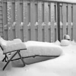 Lawn care insights on snow and ice impact tips