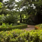 Proper maintenance increases the lifespan of your landscape