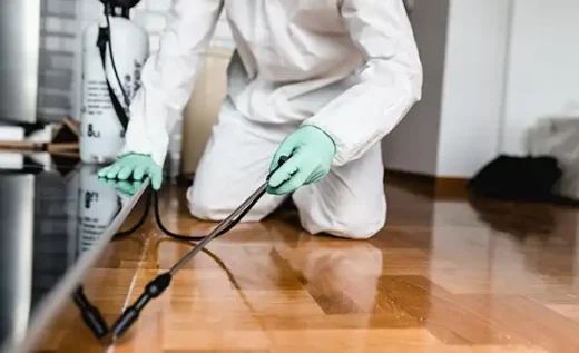 A complete guide to termite treatment in Louisville