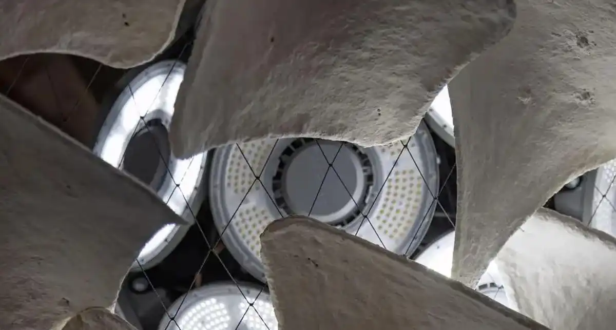 Flight into Shadow Exhibition, Venice, Italy