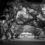Tips for growing your real estate business in Florida USA