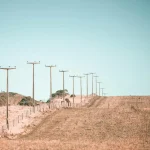 8 ways electric fencing protects livestock and property