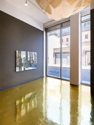 Luiza Gottschalk Exhibition New York 