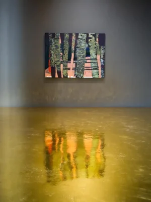 Luiza Gottschalk Exhibition New York 