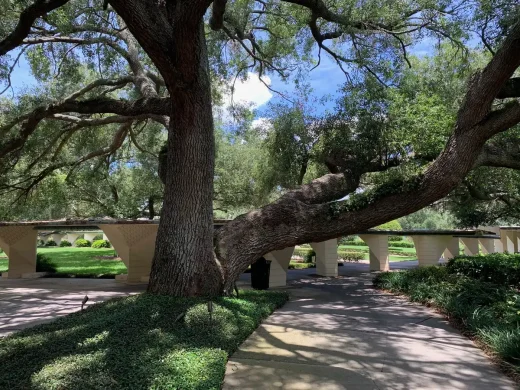 Esplanades Southern College Florida Lakeland trees