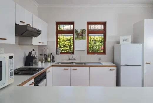 Home kitchen design renovation expert tips
