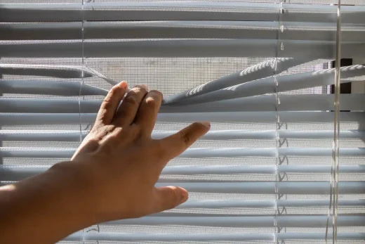 House smart blinds trend design