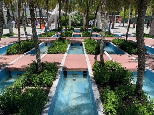 Lincoln Rd pool landscape