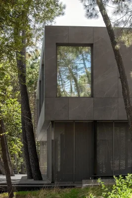 Pine House Varna Bulgaria real estate