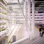 Reimagining drive-through as urban food infrastructure