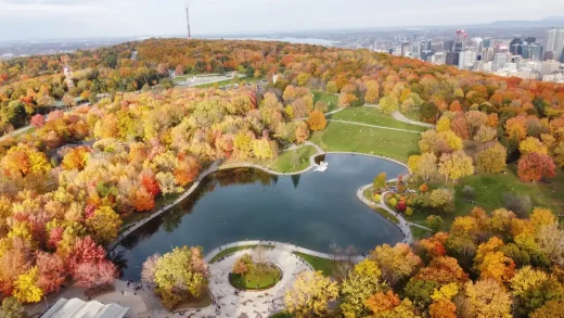 Canada pond landscape trees in Fall
