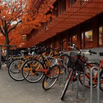 Designing Safer Public Spaces for Pedestrians, Cyclists and Service Vehicles