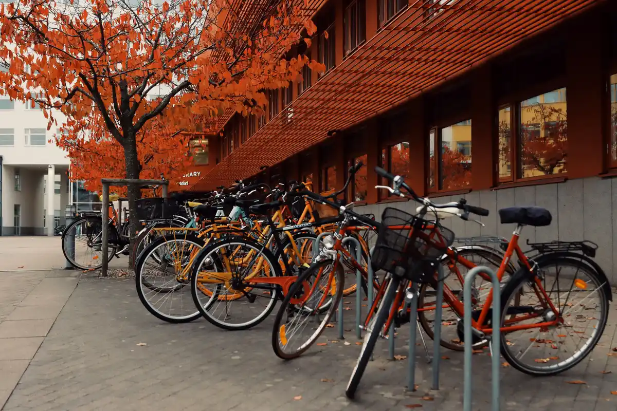 Designing Safer Public Spaces for Pedestrians, Cyclists and Service Vehicles