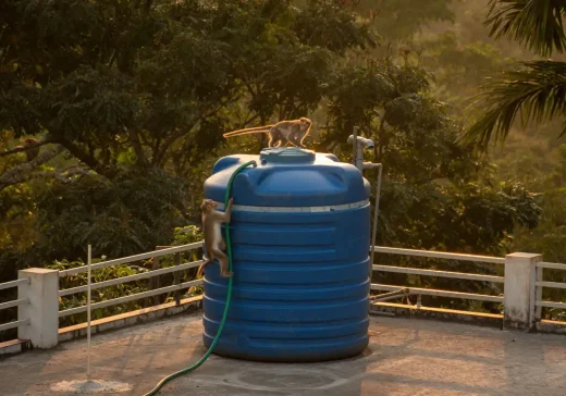 Garden water tanks: for sustainable storage at home