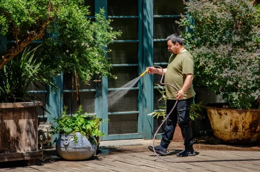 home garden water plants man