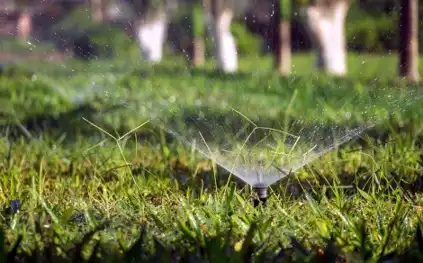 Smart yard upgrades make watering much easier