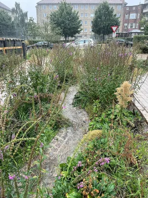New Climate Park Copenhagen