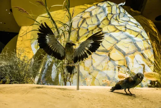 National Museum of Qatar Doha