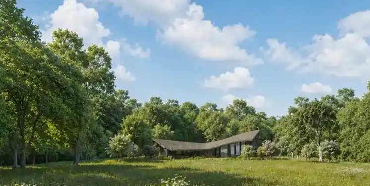 Paragraph 84 homes Southern England property news