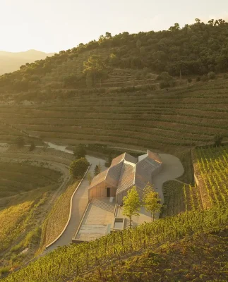 Quinta de Adorigo Winery Tabuaço northern Portugal
