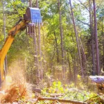 Tree management in construction and development